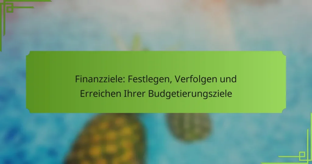 Finanzziele: Festlegen, Verfolgen und Erreichen Ihrer Budgetierungsziele