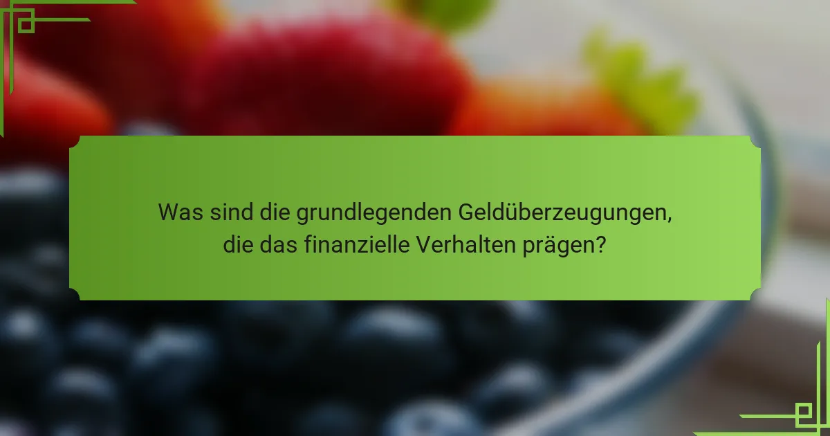 Was sind die grundlegenden Geldüberzeugungen, die das finanzielle Verhalten prägen?