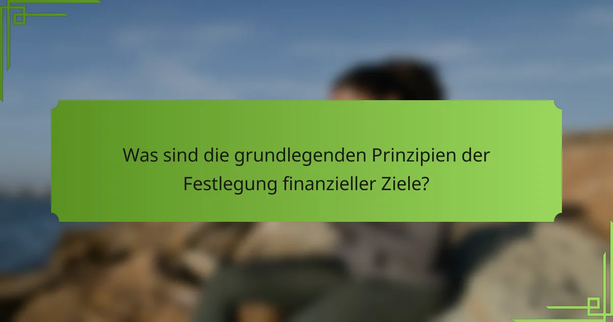 Was sind die grundlegenden Prinzipien der Festlegung finanzieller Ziele?